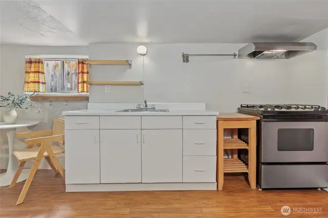 Lower level kitchen