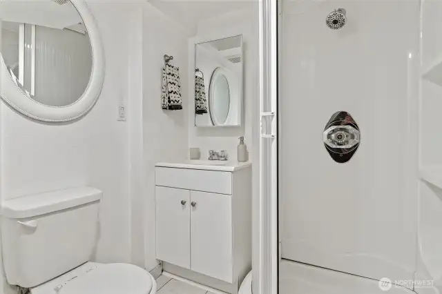 Lower level 3/4 bath