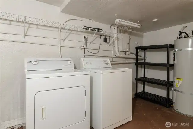 Lower level Laundry + storage