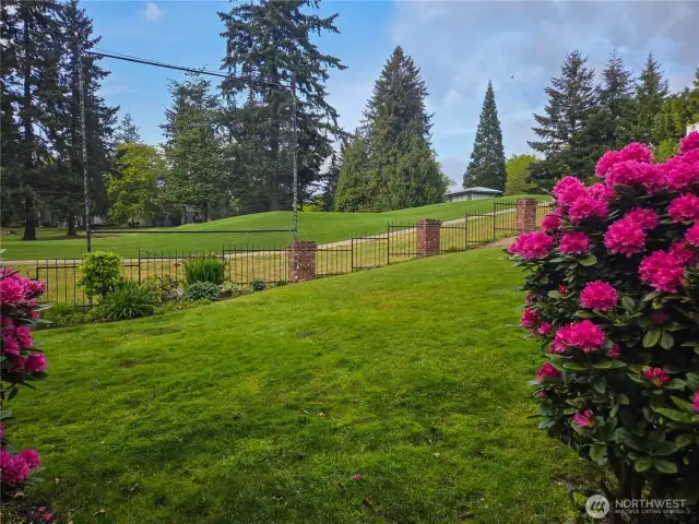 This is the view from the patio looking out to the 17th tee and fairway.