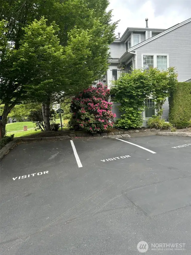 Visitor parking is located next to the unit, as well as other locations thru ought the complex.