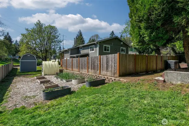 Fenced backyard.