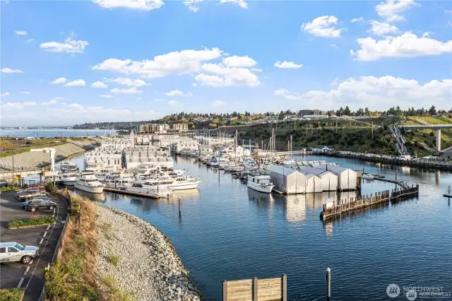 Tacoma Yacht Club Boat house Basin