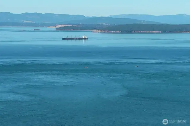 View from water's edge from the recorded path that leads from house to the water.