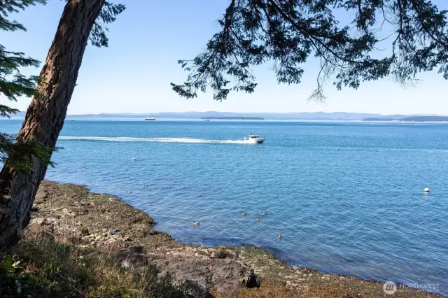Relax to enjoy the marine activities and wildlife from the recorded path to the water from the house.