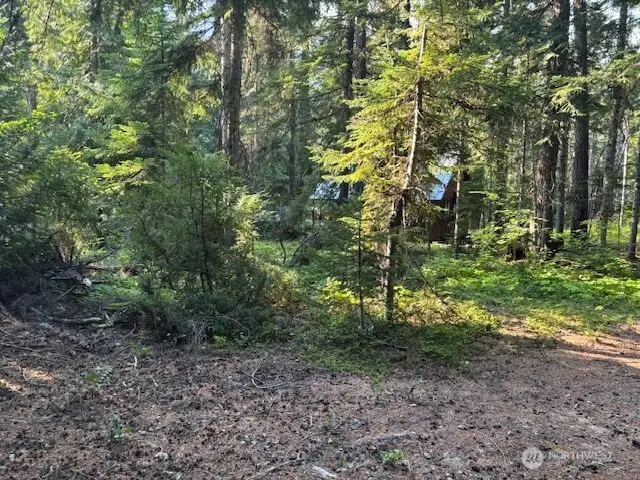 The lot sits between two rustic cabins.