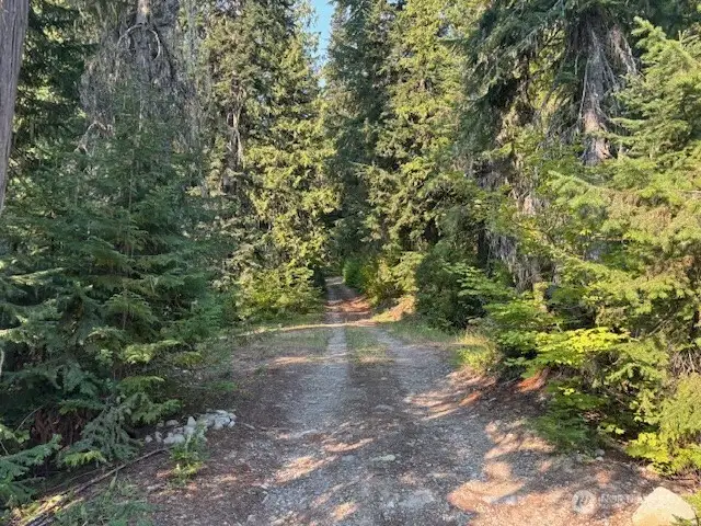 The road from the bridge that leads to the lot. This is seasonal access.