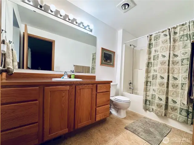 Primary Full Bathroom: Tub, Shower, vanity, and toilet