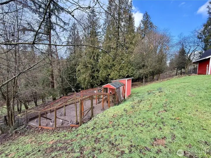 Chicken coop and pen off of backyard