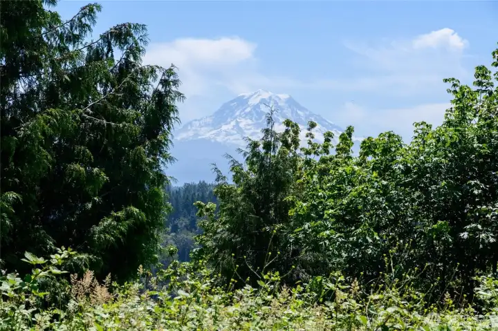 Design and build the home you’ve always imagined—on a lot that truly deserves it. Electrical meter is already installed on-site.