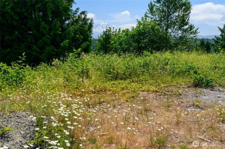 With its level terrain, protected greenbelt, and panoramic views, this homesite offers the perfect foundation to design and build a custom home that truly reflects your vision.