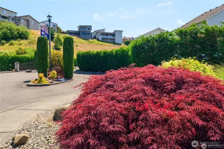 Set within Bonney Lake’s most prestigious gated enclave, The Summit offers unmatched views, timeless elegance, and a sense of arrival.