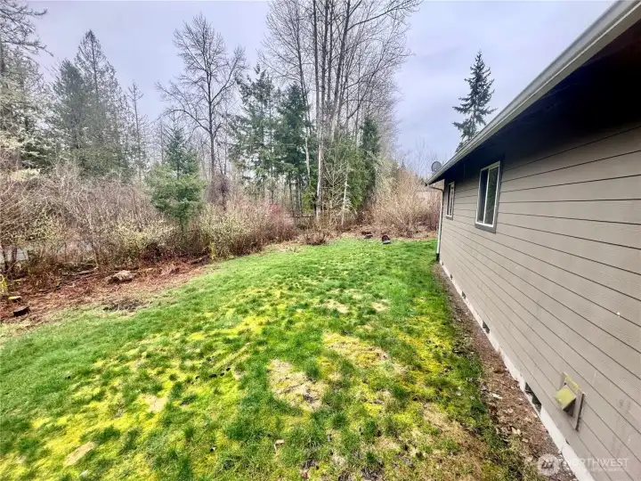 The back property.