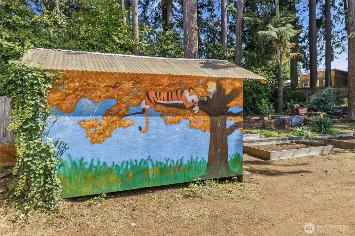 Huge back yard with garden boxes and a fire pit plus a shed with a custom Calvin and Hoobs painted mural.