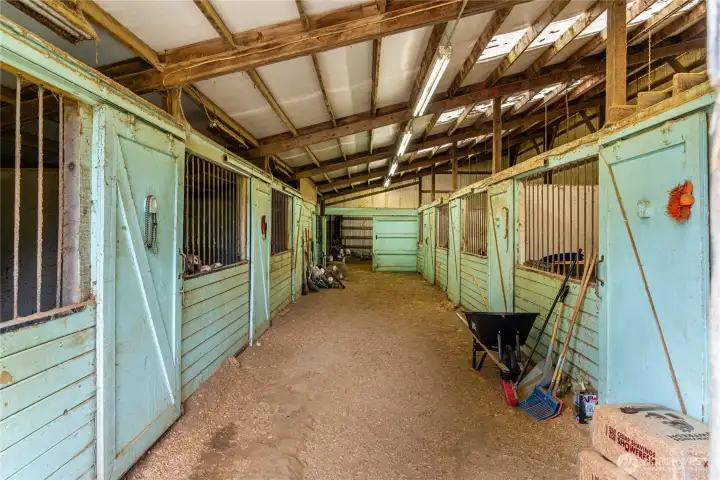 8 stables