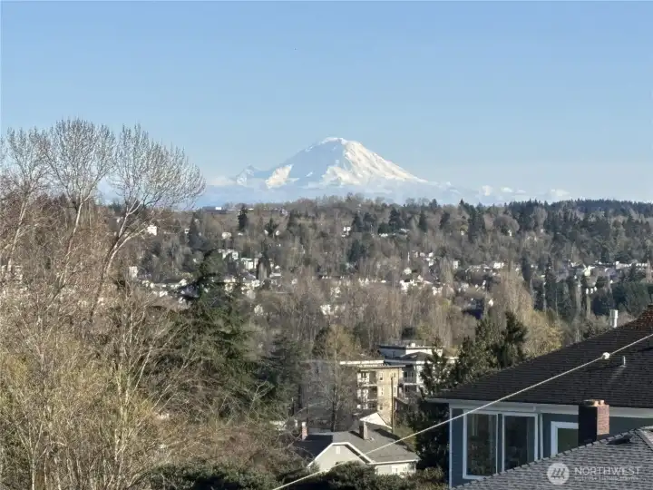 Wake up to this view of Mt Rainier every day.