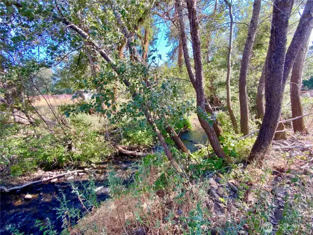 Whiskey creek