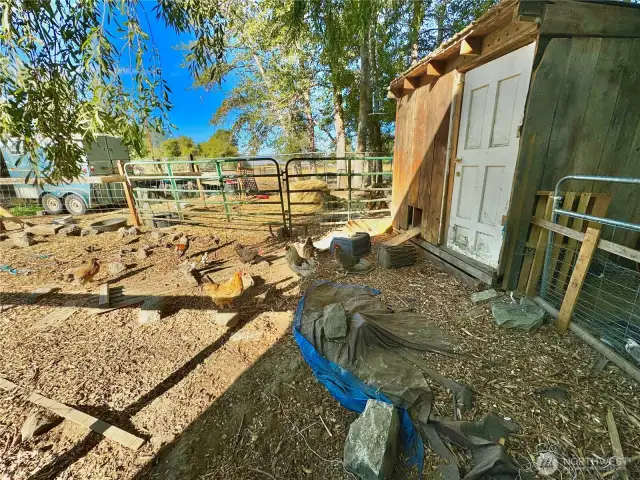 Room for animals next to the shop