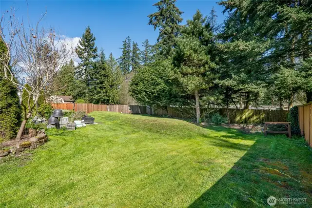 BIG backyard w/privacy tree's...