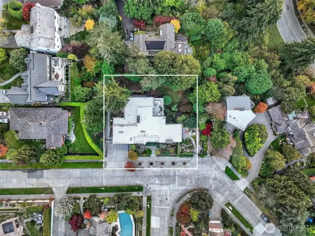 Outlined from above, the 13,348 square foot parcel at 4221 W Armour reveals its full depth and breadth—an exceptional, street-to-street lot in the heart of Carleton Park. Mature trees offer privacy on all sides, while the home’s footprint remains centered and gracefully proportioned. A rare opportunity to own a true mid-century compound in one of Seattle’s most storied enclaves.