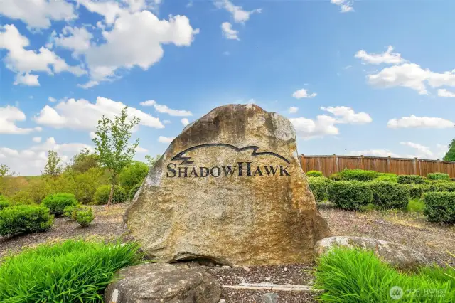Magnificent Shadow Hawk Condominium