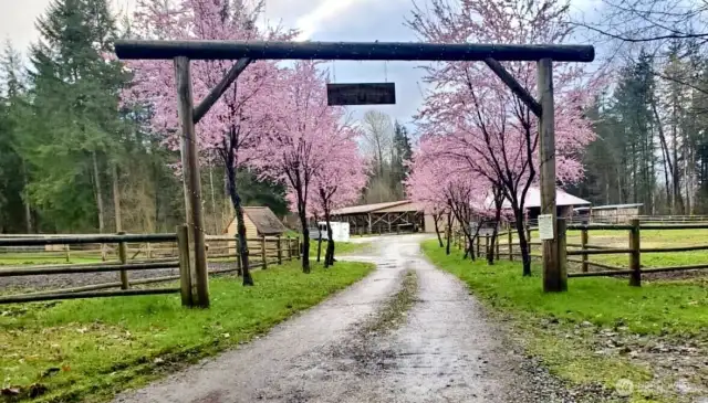 Welcome Home to idyllic equestrian living.