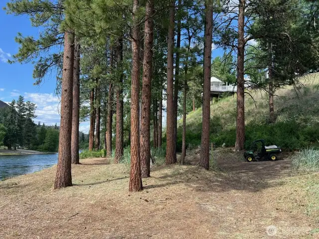 Park-like setting, peaceful and relaxing on the shore of the river.