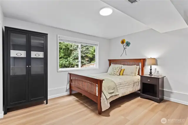 Downstairs bedroom