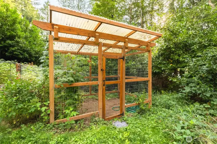 "Chicken Pen"