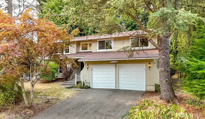 Mature trees offer privacy