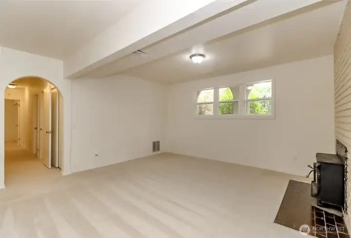 Lower level family room/rec room