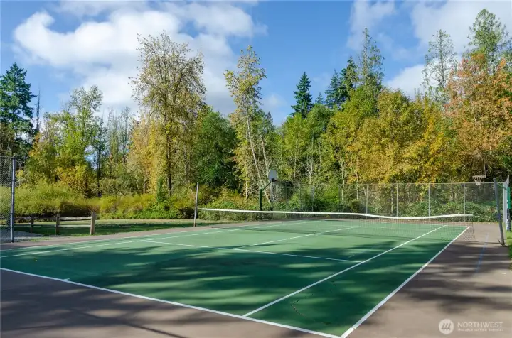 Tennis courts (hoa)