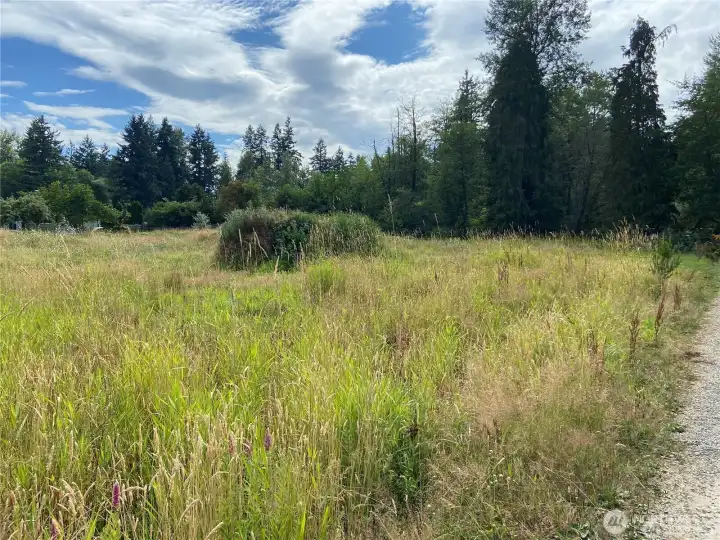 Picture your dream home surrounded by nature. This open, level lot is ready for your vision!