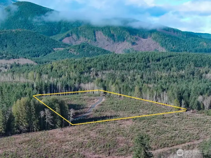 Secluded setting at the base of the Olympic Mountains. This property borders DNR land to North and designated forestlands on 2 other sides. The best neighbors are no neighbors ! 20 acres ready for you !