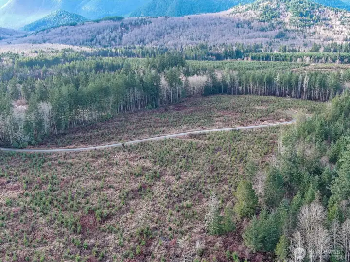 View of the site facing South.