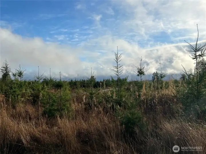 Virtually level topography.