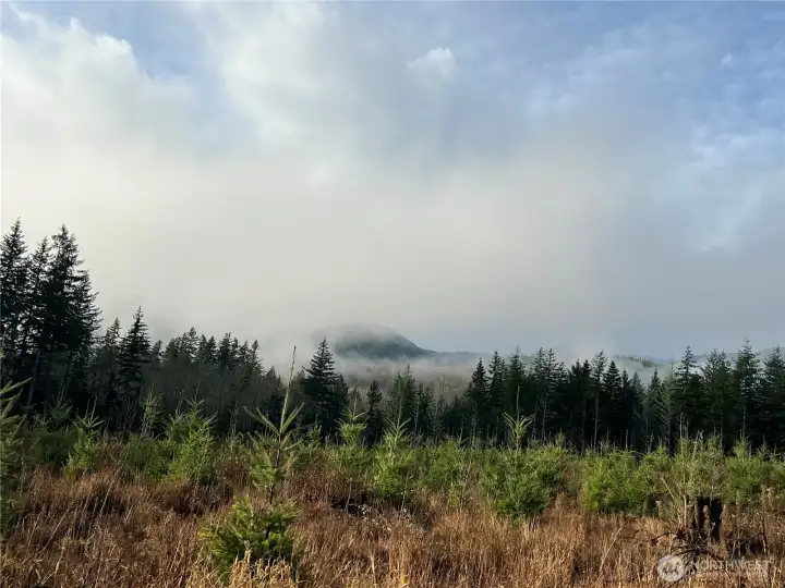 Misty mountains with an ever changing views out your future back porch.