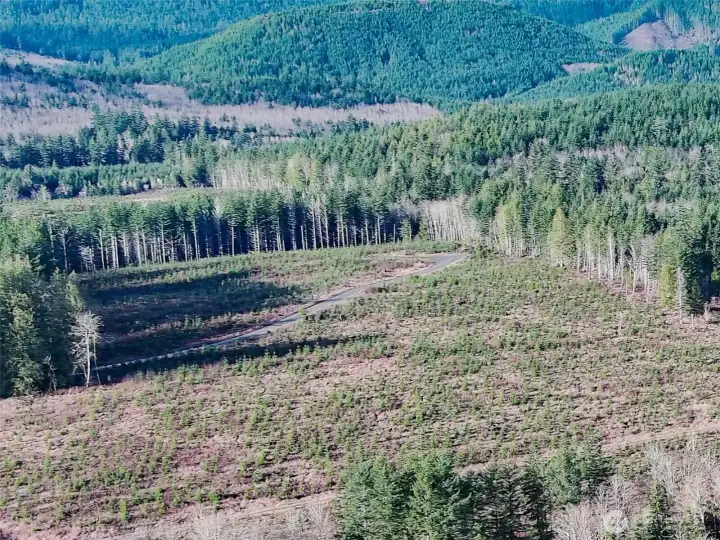 Level, usable ground Just waiting for a secluded homestead.