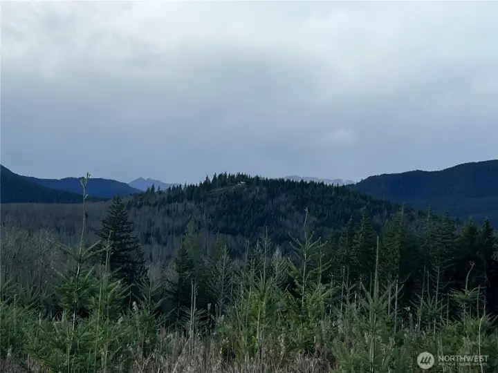 SW facing view. Snow capped mountain peaks, peeking at you from afar.