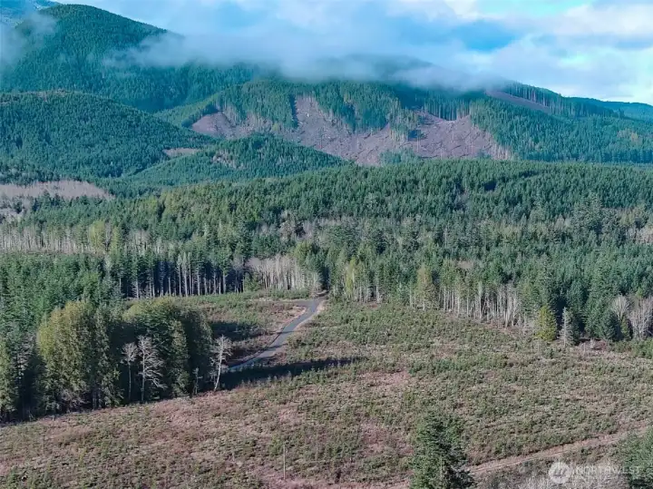 The base of the Olympic Mountains