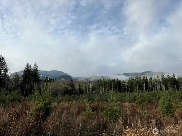 Mostly level topography.