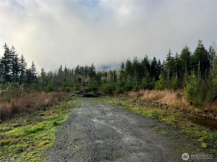 The entrance to the Southern portion of the site. Perfect for your future home(s).