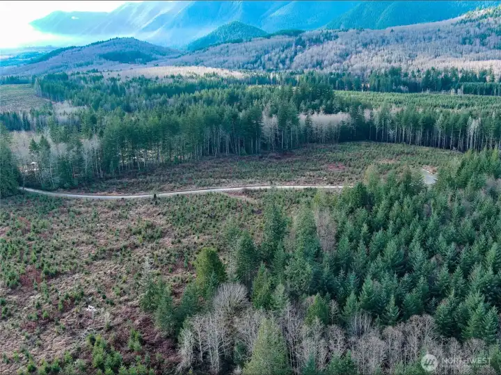 View to the South and down the Hood Canal.