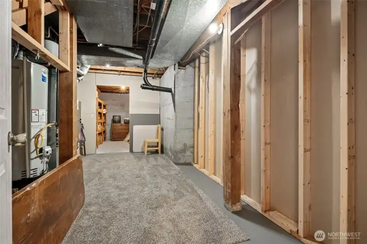 Downstairs storage room -- so much space!