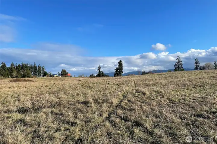 Washington Harbor Loop