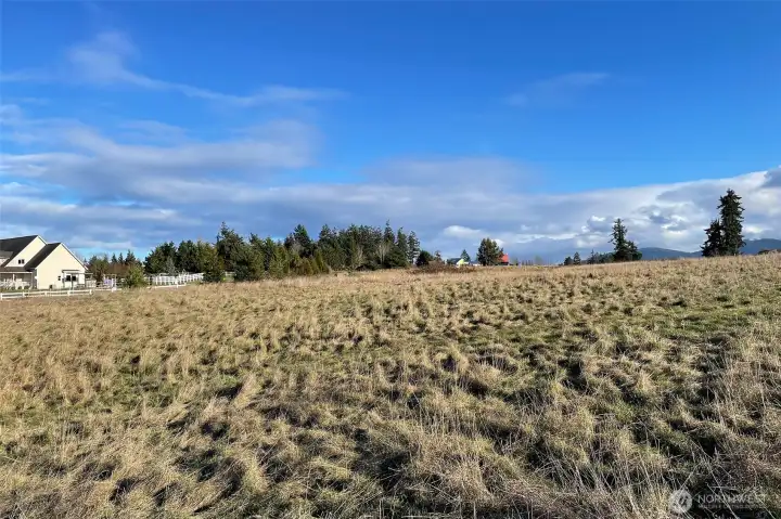 Washington Harbor Loop