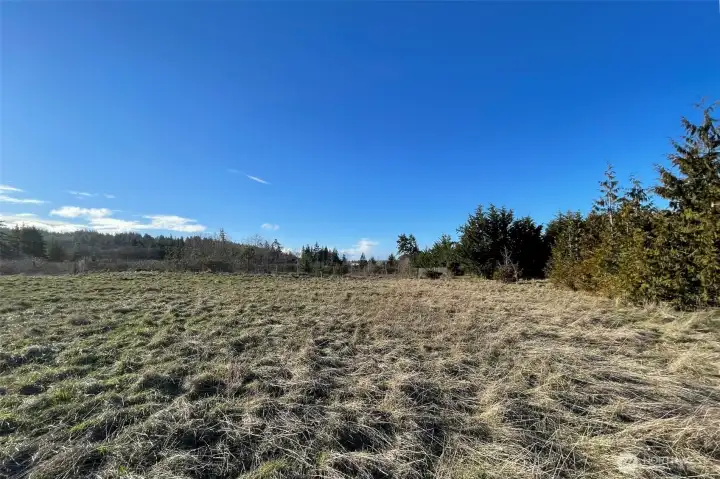 Washington Harbor Loop