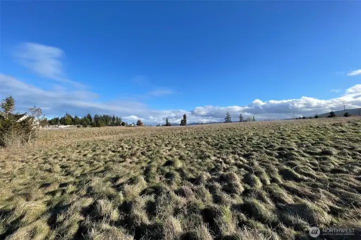 Washington Harbor Loop