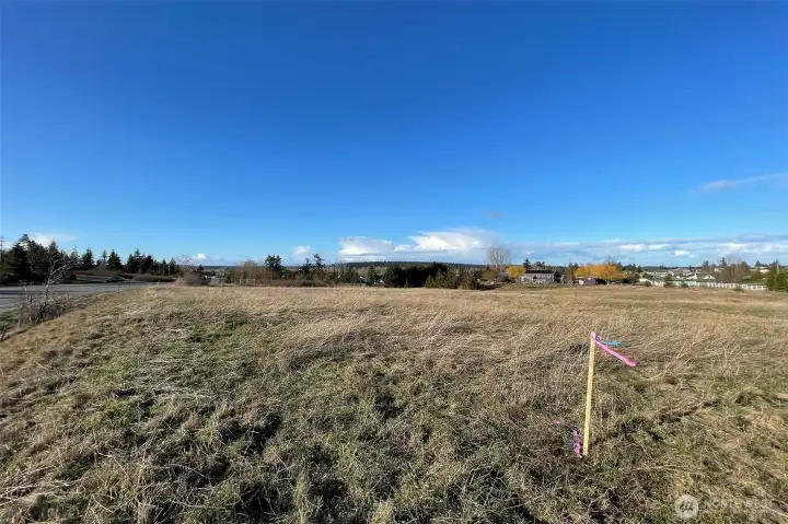 Washington Harbor Loop