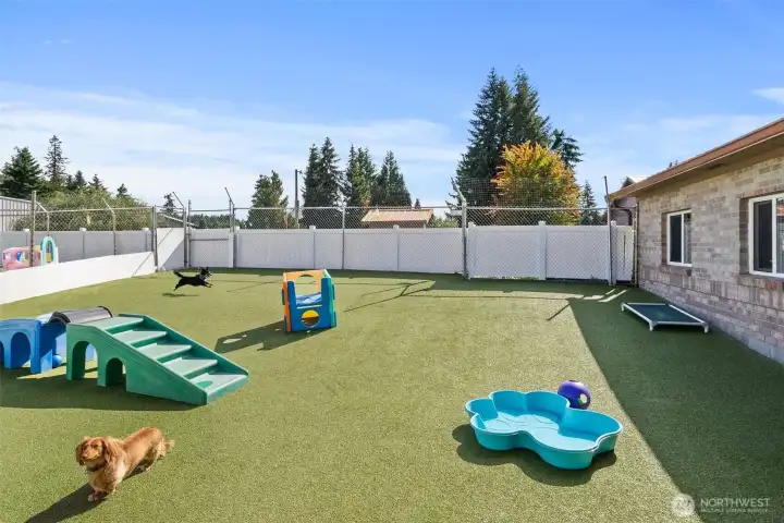 Its Doggy playtime in this fully fenced, secure area designed for safety and fun. The play space is equipped with K9 Astroturf, providing a soft, clean, and durable surface.